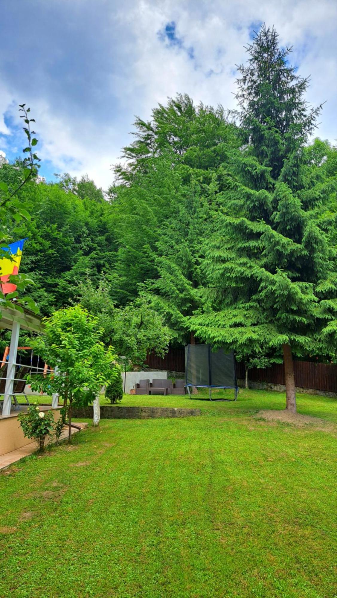 Casa Aris Lepsa Vrancea Hotel Exterior foto